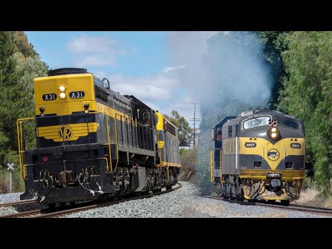 SRHC Light Engine Movements on The North East Mainline! | X31, S303, GM27, T357, CLF2
