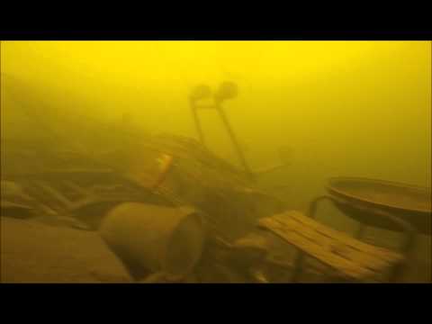 Trädet i mälarhöjden under ytan