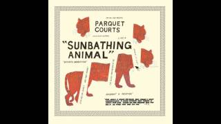 PARQUET COURTS - SHE'S ROLLING