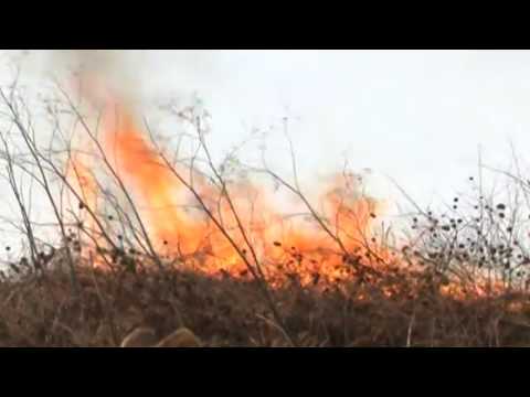 Știre Etv/18.04.2017 – CURĂȚENIA DE PRIVĂVARĂ PE OGOARE