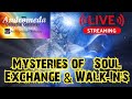 Mysteries Of Soul Exchange Walk In S LIVESHOW