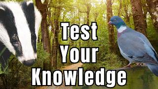 How much do you know about Wildlife? --- Wildlife Quiz of the Week!