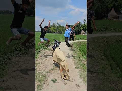 What did they see in front of their motorcycle.500#funny#
