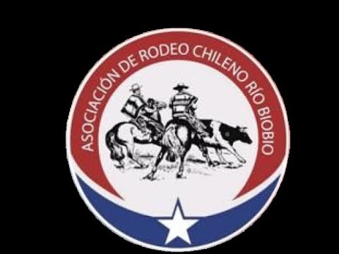 Primera Serie Libre - Asoc Rio Bio Bio - Club de Tucapel - Medialuna Chacaico