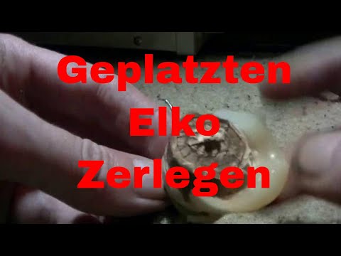 Aufgeplatzen Elko zerlegen - eflose #685