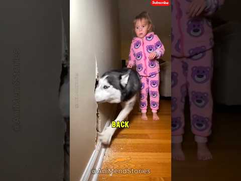 She Dropped Them Down The Chimney - Rescue Mission 🚁🦆