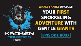 Kraken Aquatics Podcast #037 - Whale Sharks Up Close: First Snorkeling Adventure with Gentle Giants