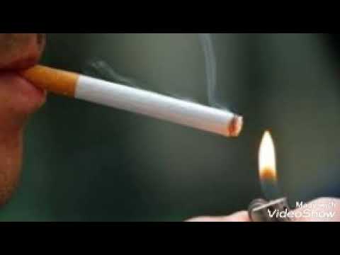 UTZE - SA MAI LUPTAM