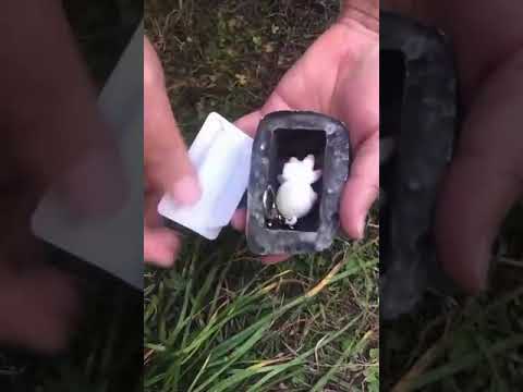 KeyGuard секретна ключниця у вигляді каменю для саду - фото 1 - id-p2065035237