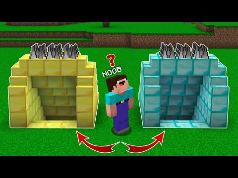 Slimy - Minecraft NOOB vs PRO : WHICH MINE WILL THE NOOB CHOOSE TO SURVIVE! Animation!