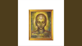 Healing the Illusion of Separation