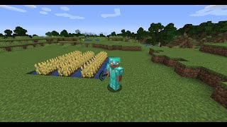 Minecraft || how to grow wheat in minecraft