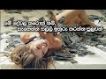 Savings Tips Sinhala