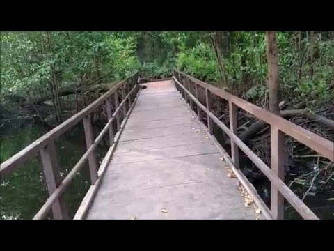 Laurindo de Almeida (Laurindo Almeida) - SAUDADE - Radamés Gnattali - ano de 1957