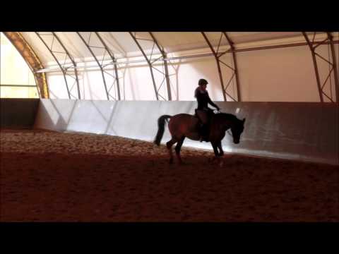 Lehrgang Abbenrode Jessi