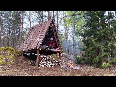 Three days in a wild forest!  Building a Bushcraft to survive in the wild. Cooking food over fire.