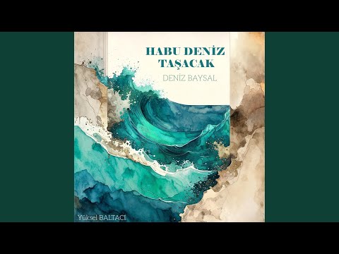 HABU DENİZ TAŞACAK