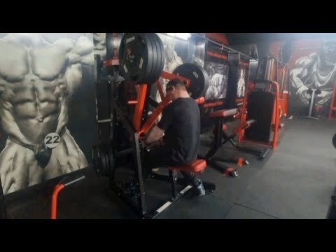 Spring Bulk Day 37-Back