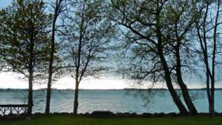 Download lagu Stanley Myers - Cavatina mp3