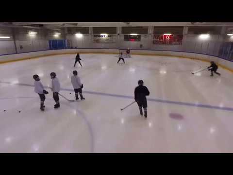 Karhu-Kissat C2 treenaa Helsingin Oulunkylässä