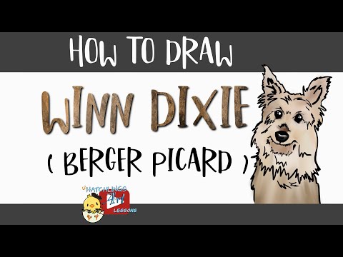 How to draw a Berger Picard - ( from Because of Winn Dixie ) - Little Hatchlings Art Lessons