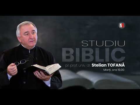 The Mother of God in Holy Scripture (Pr. Prof. Stelian Tofană) P2