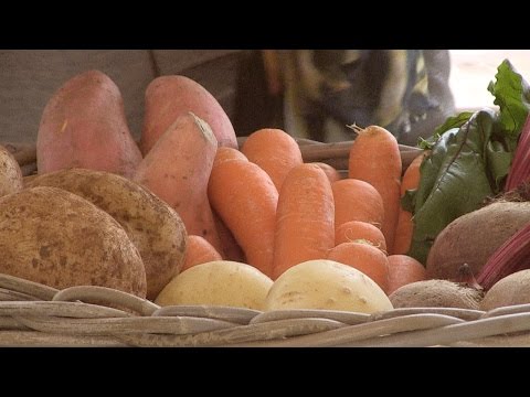 Ingredientes frescos