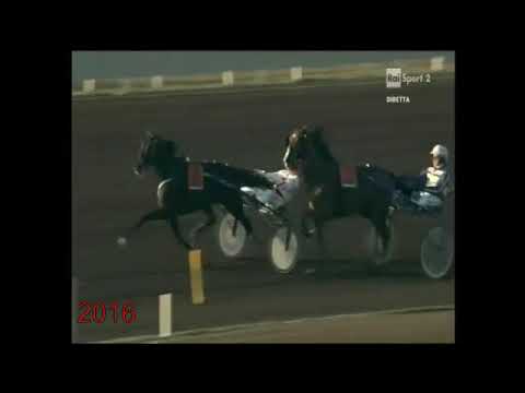 DERBY DEL TROTTO 2016 UNICKA