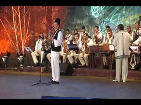 Savoiu Stefan Vaideeni