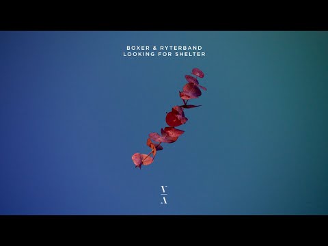 Boxer & RYTERBAND  - Looking For Shelter