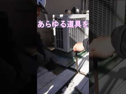 屋根工事のために塩ビのデッキ材を外すんですが…。#shorts #shortvideo