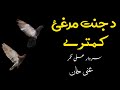 Da Janat Marghay Kamtari | Sardar Ali Takkar Ghazal | Ghani Poetry | سردار علی ٹکر