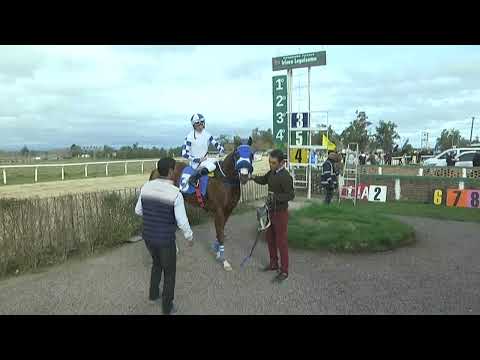 10/08/2023 – Hipodromo Florida – Carr 5 – CUARTO DE MILLA “FECHA PATRIA JF”