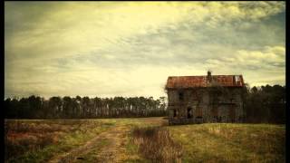 Mandrill House Of Wood