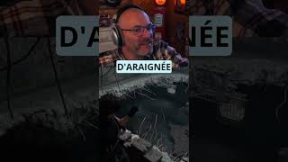 L'HUILE D'ARACHNIDE DANS RESIDENT EVIL 9 ! 🕷️😱 #Shorts #RE9