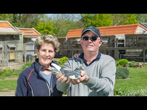 A.P. Overwater - Promovideo 2021