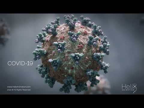 3D Animation: SARS-CoV-2 virus transmission leading to COVID-19