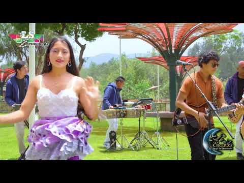 MIX JARANERO DUO ENCANTOS EN VIVO LSPRODUCCIONES
