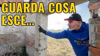 QUESTO CAMPO NASCONDEVA QUALCOSA… e lo abbiamo TROVATO 😳 Metal Detector