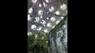 Spending time in nature is a great stress reliever. Bonus points if you soak up some vitamin D from the sun!