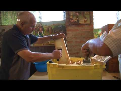 PRELEPO   VRCANJE MEDA u  ... UMETNICKOJ GALERIJI  !!!  Prvi put vidjeno !