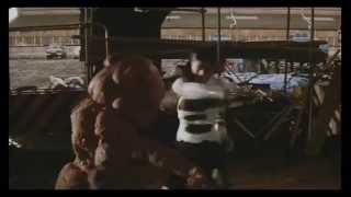 Zeiram SkinnyPuppy Bark