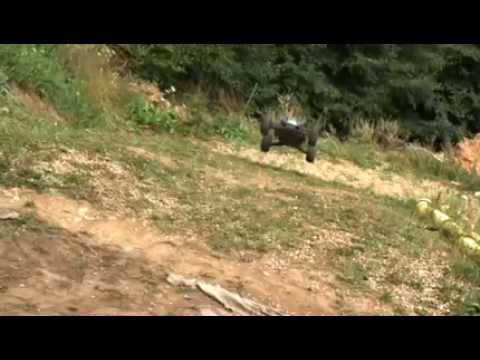 Ansmann Racing  Terrier