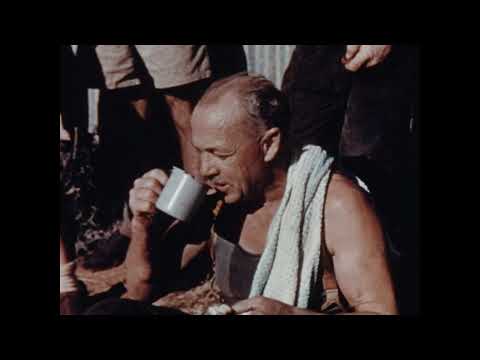 Shearing time at Billabong