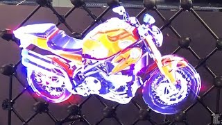 3D Hologram Wall, Mantis Shrimp, White Moose, And More! | TodayILearned #31