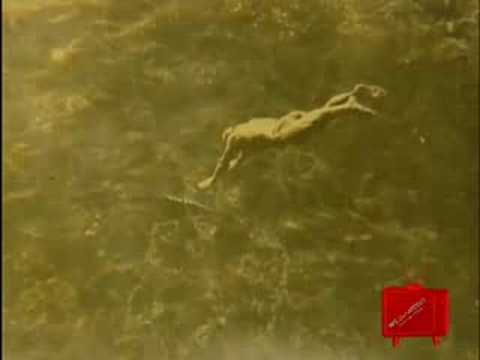 Extreme Cliff Diving in Italy - [BroadbandTV]