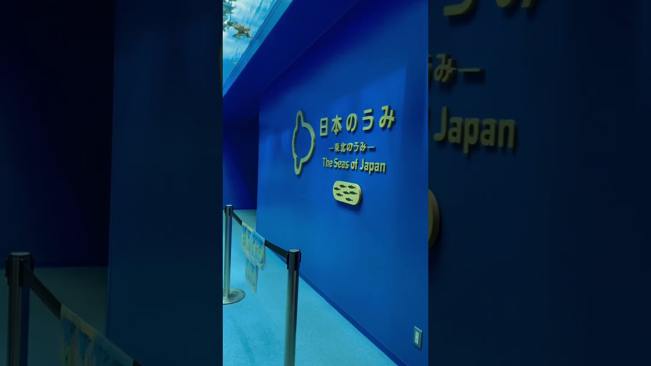 YouTube Short thumbnail