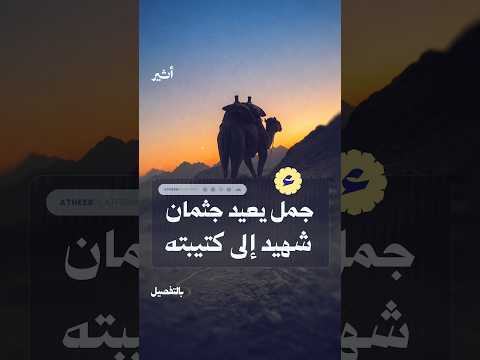 Yemeni Windows Media