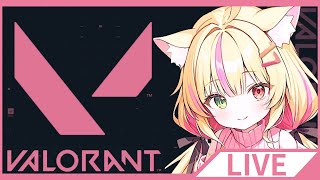【VALORANT】急遽コンペやる#VTuber#VALORANT#ヴァロラント#valorant