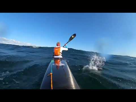 Summer dw at Skälderviken